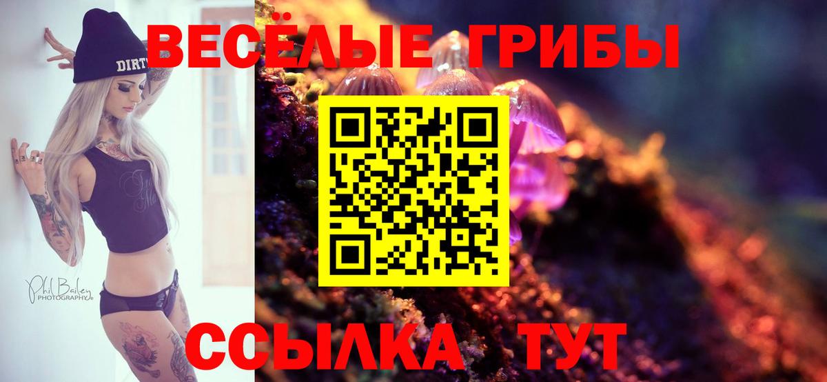 Галлюциногенные грибы GOLDEN TEACHER  Вход с VPN  Ярославль  Галлюциногенные грибы мицелий 